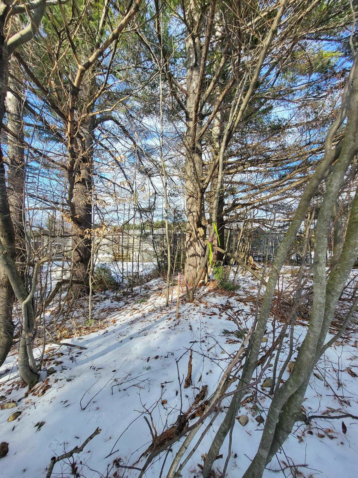 Tbd Little River Road Twin Mountain, NH 03595 - Photo 14 of 15