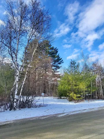 $102,500 | Tbd Little River Road, Twin Mountain, NH 03595