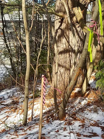 $102,500 | Tbd Little River Road, Twin Mountain, NH 03595