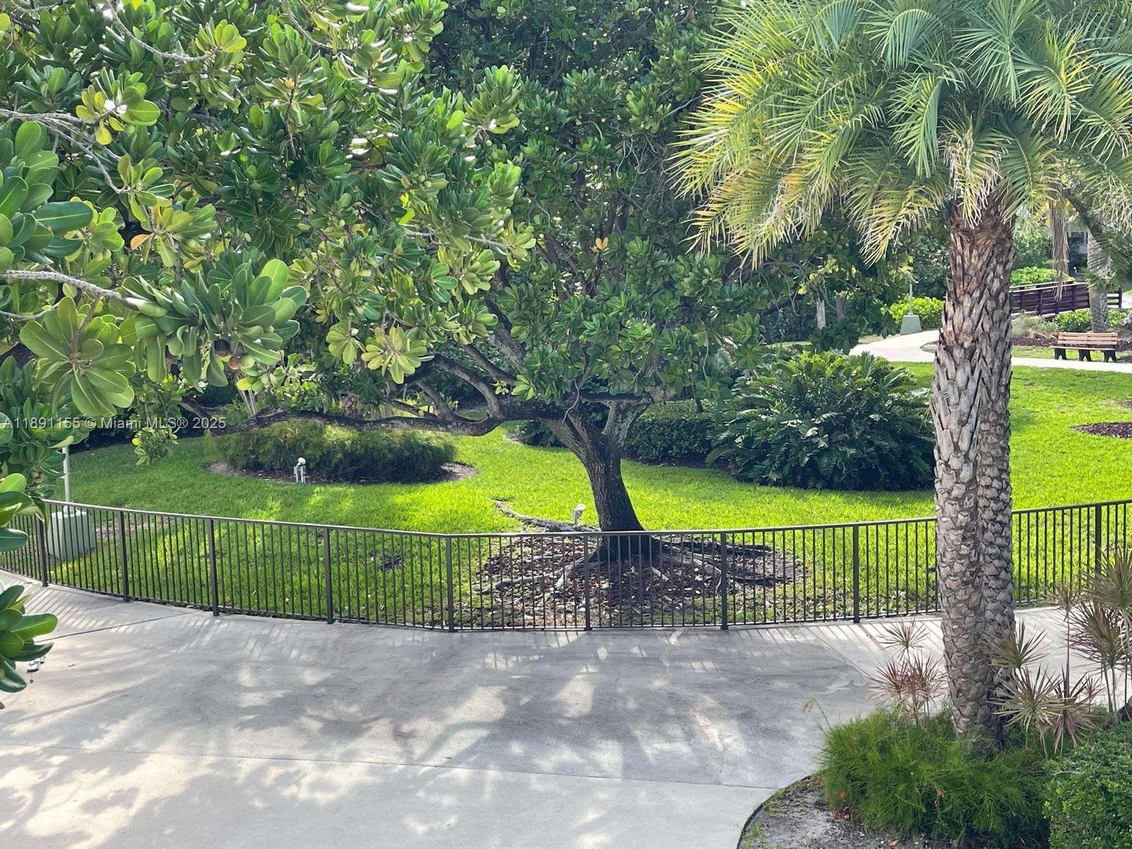 2851 Northeast 183rd Street, Unit 509E Aventura, FL 33160 - Photo 16 of 22 a view of a park with large trees and a big yard