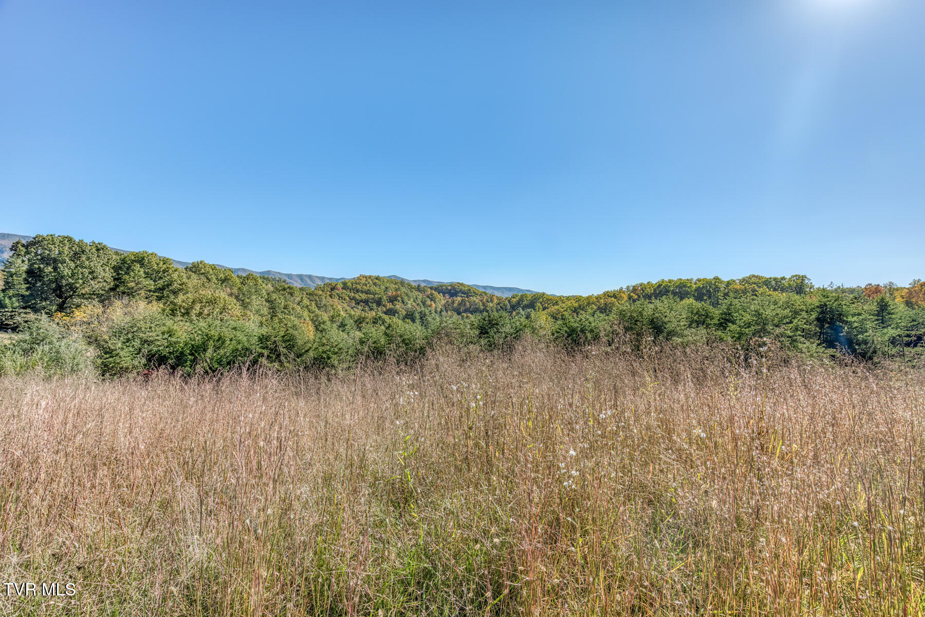 441 Turner Road Bluff City, TN 37618 - Photo 39 of 51 441 Turner Rd-40