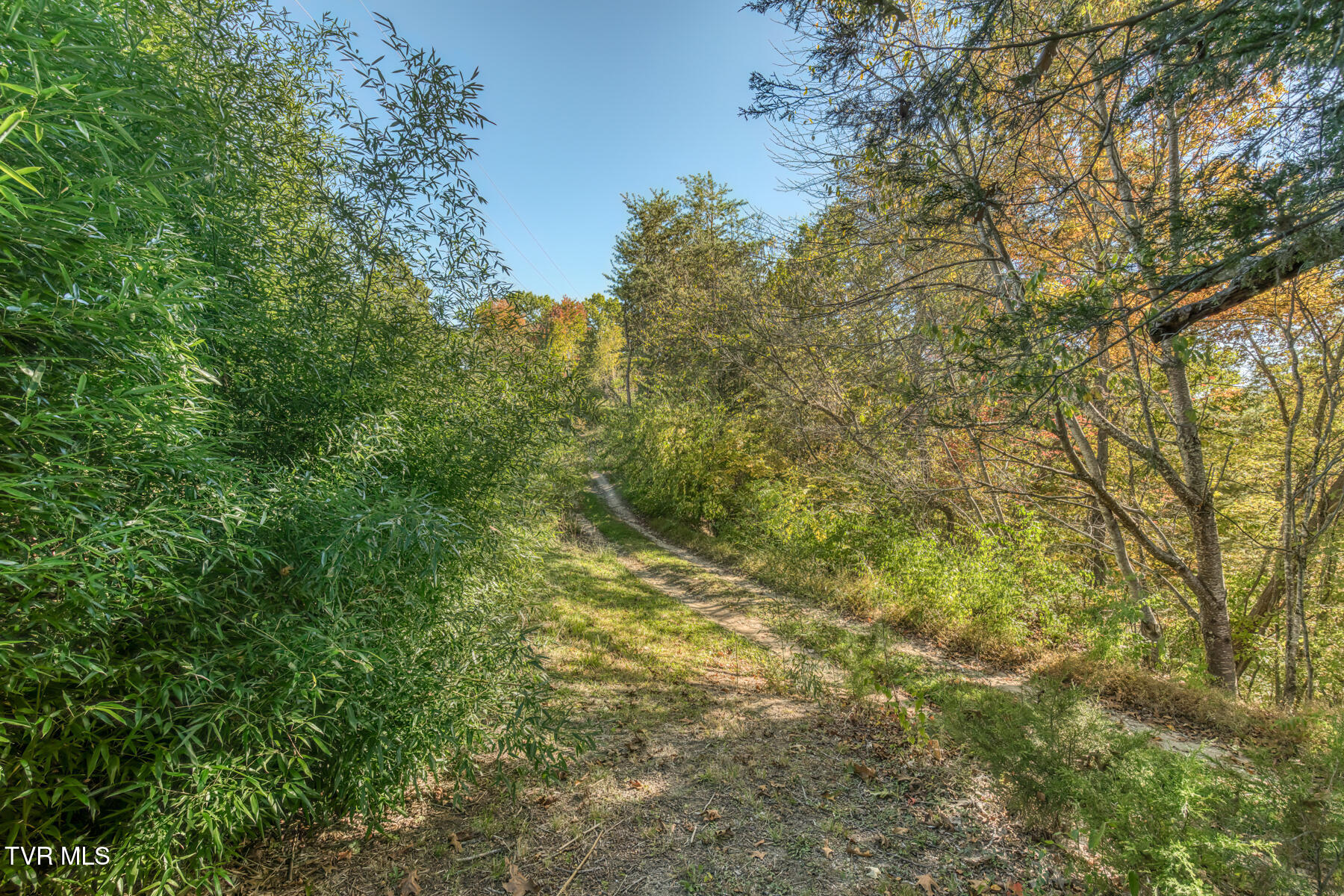 441 Turner Road Bluff City, TN 37618 - Photo 44 of 51 441 Turner Rd-45