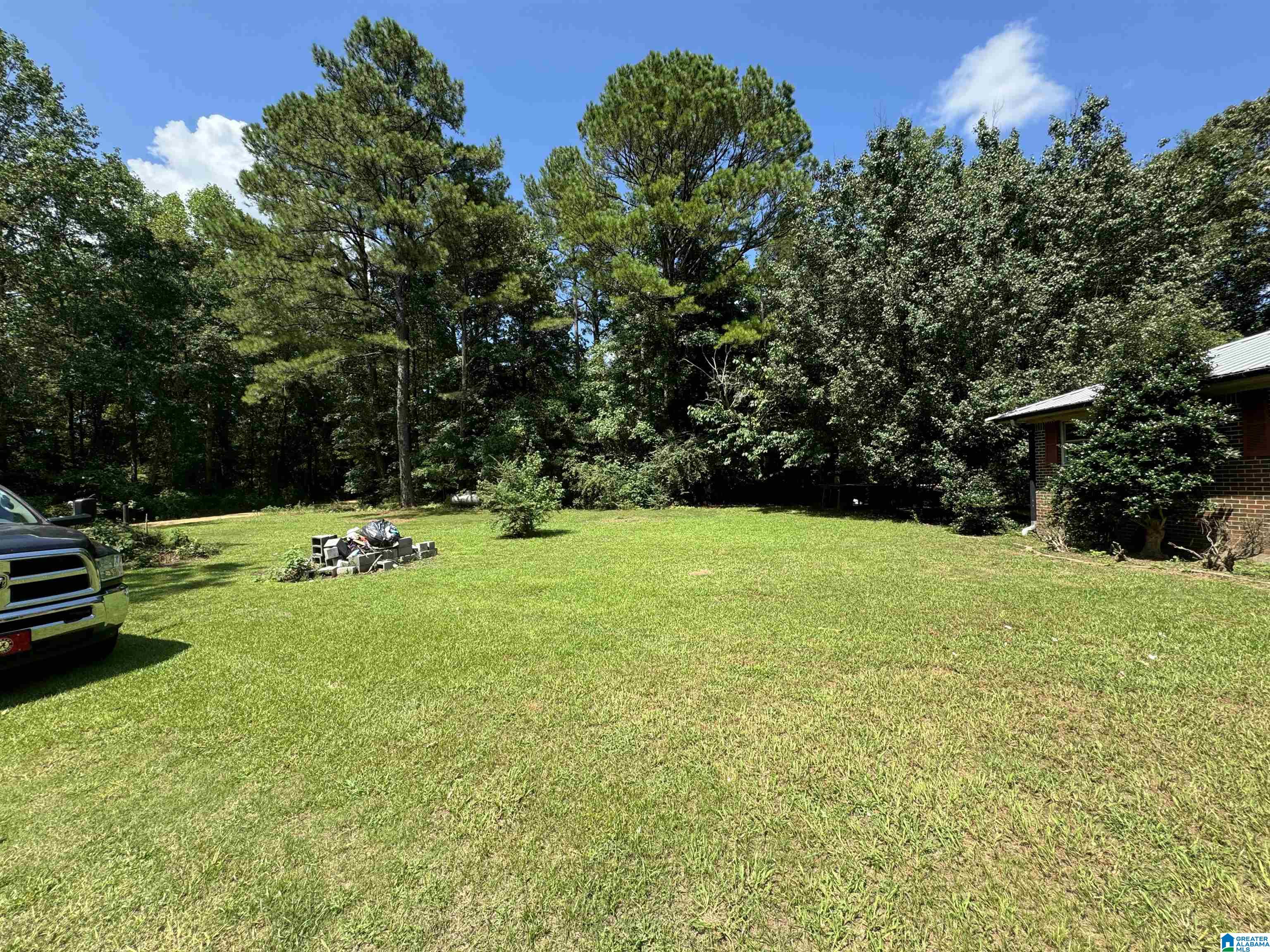 4187 Mt Joy Road Fayette, AL 35555 - Photo 2 of 34