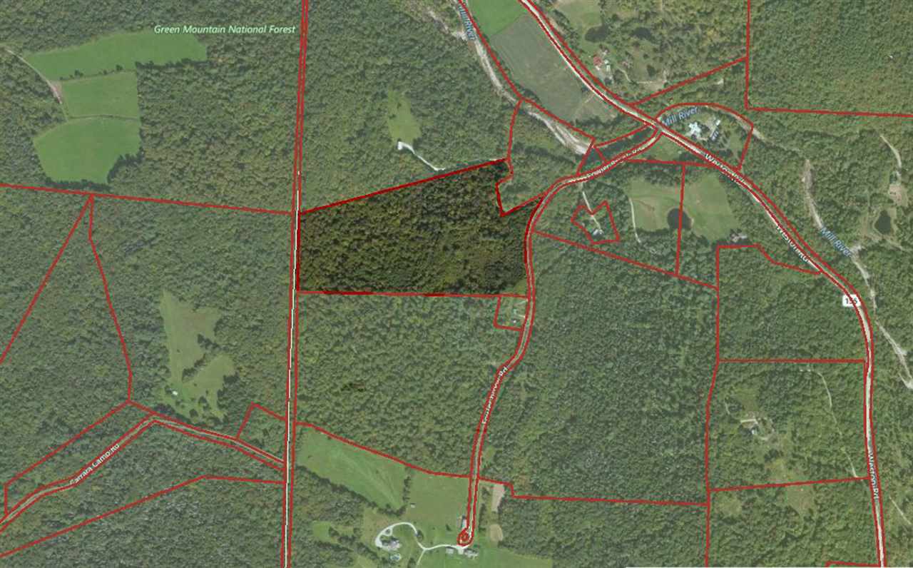 0 Fowler Brook Rd Mount Mount Holly, VT 05758 - Photo 2 of 3
