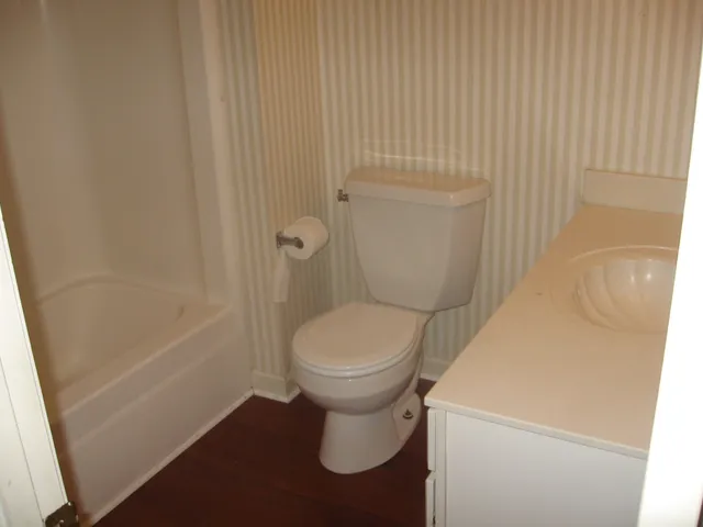 a white toilet sitting next to a bath tub