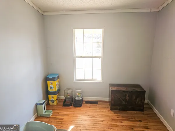 a view of a outdoor space with plants and tree