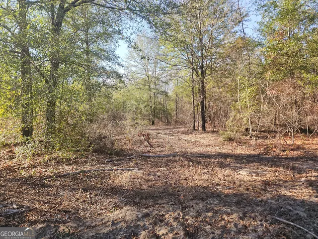 $449,900 | 831 Highway 90, Rupert, GA 31081