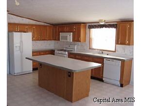 103 Barton Street Modesto, IL 62667 - Photo 4 of 6 Gallery Image 4