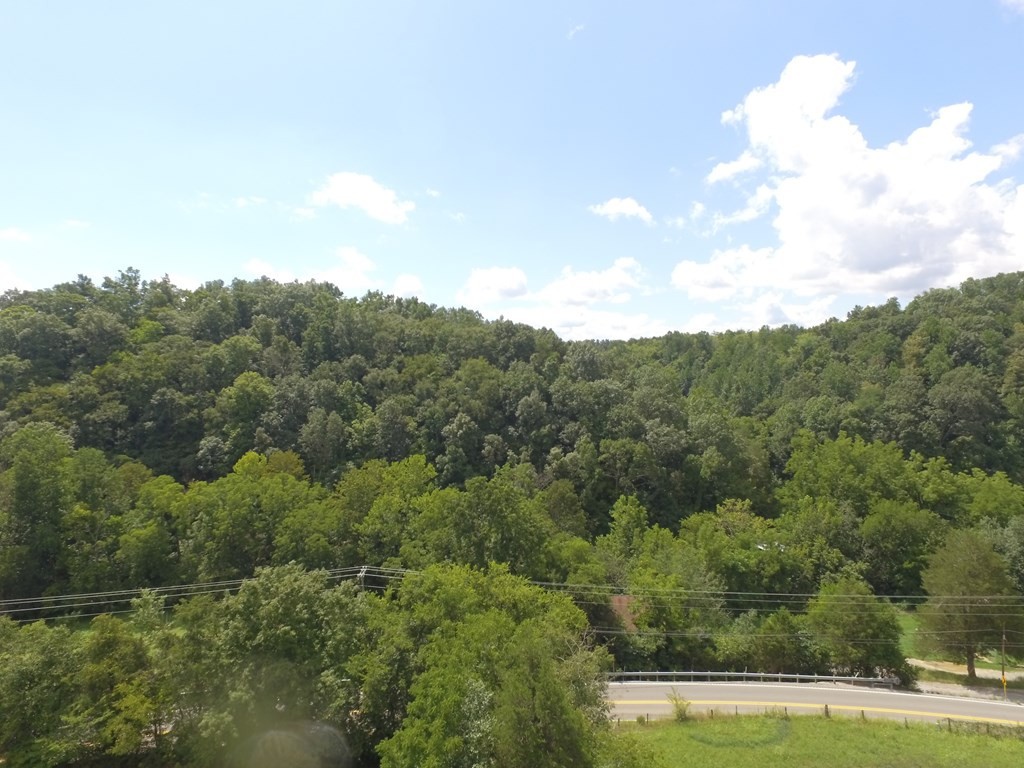 1549 Douglas Dam Road Sevierville, TN 37876 - Photo 17 of 30
