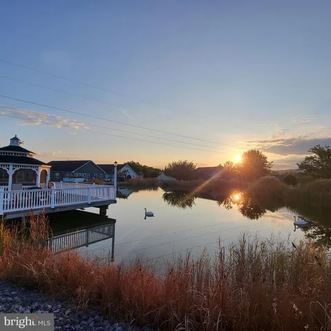 a view of a white house with a yard plants and large tree
