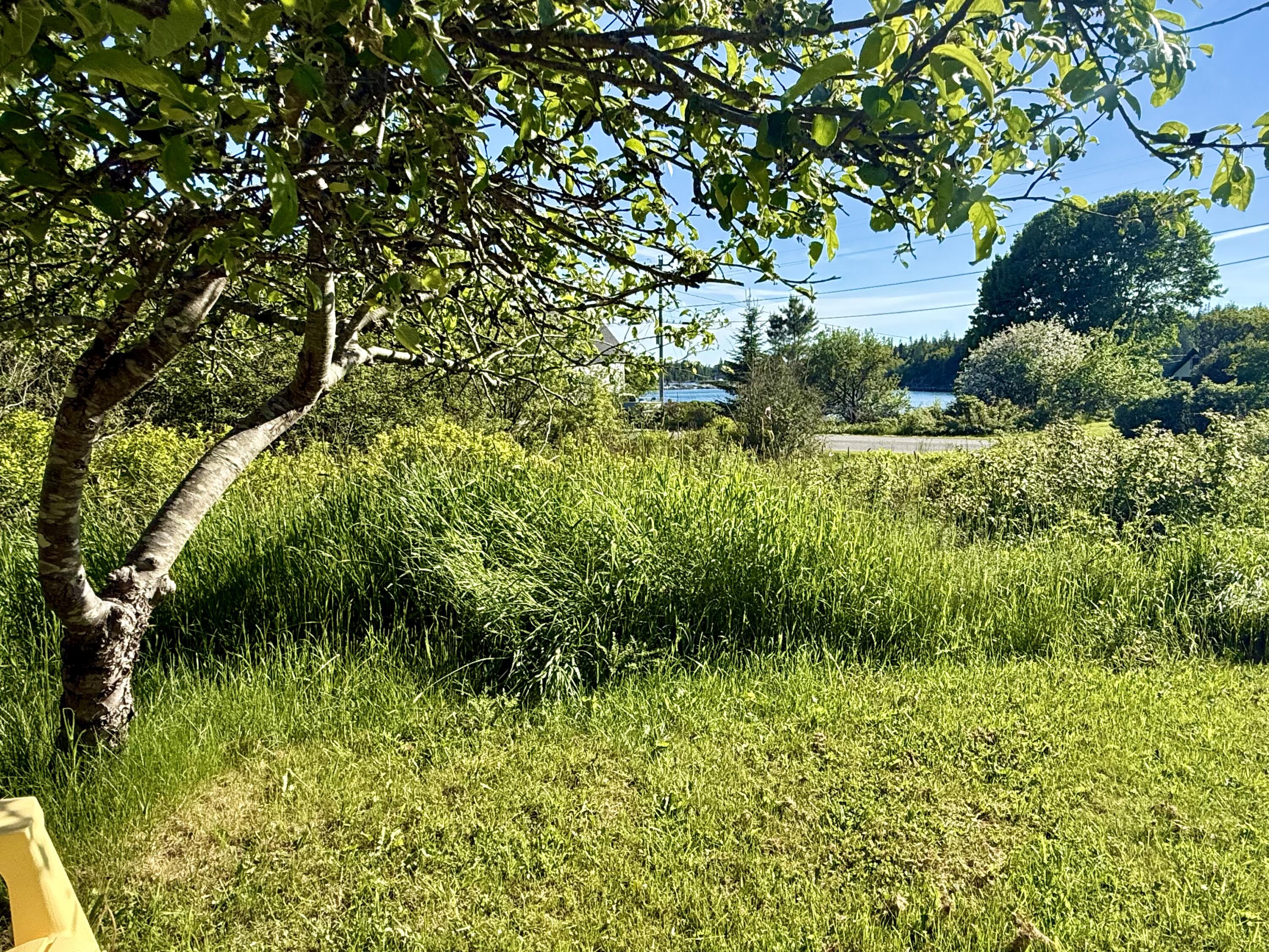 50 East Boston Road Vinalhaven, ME 04863 - Photo 36 of 38