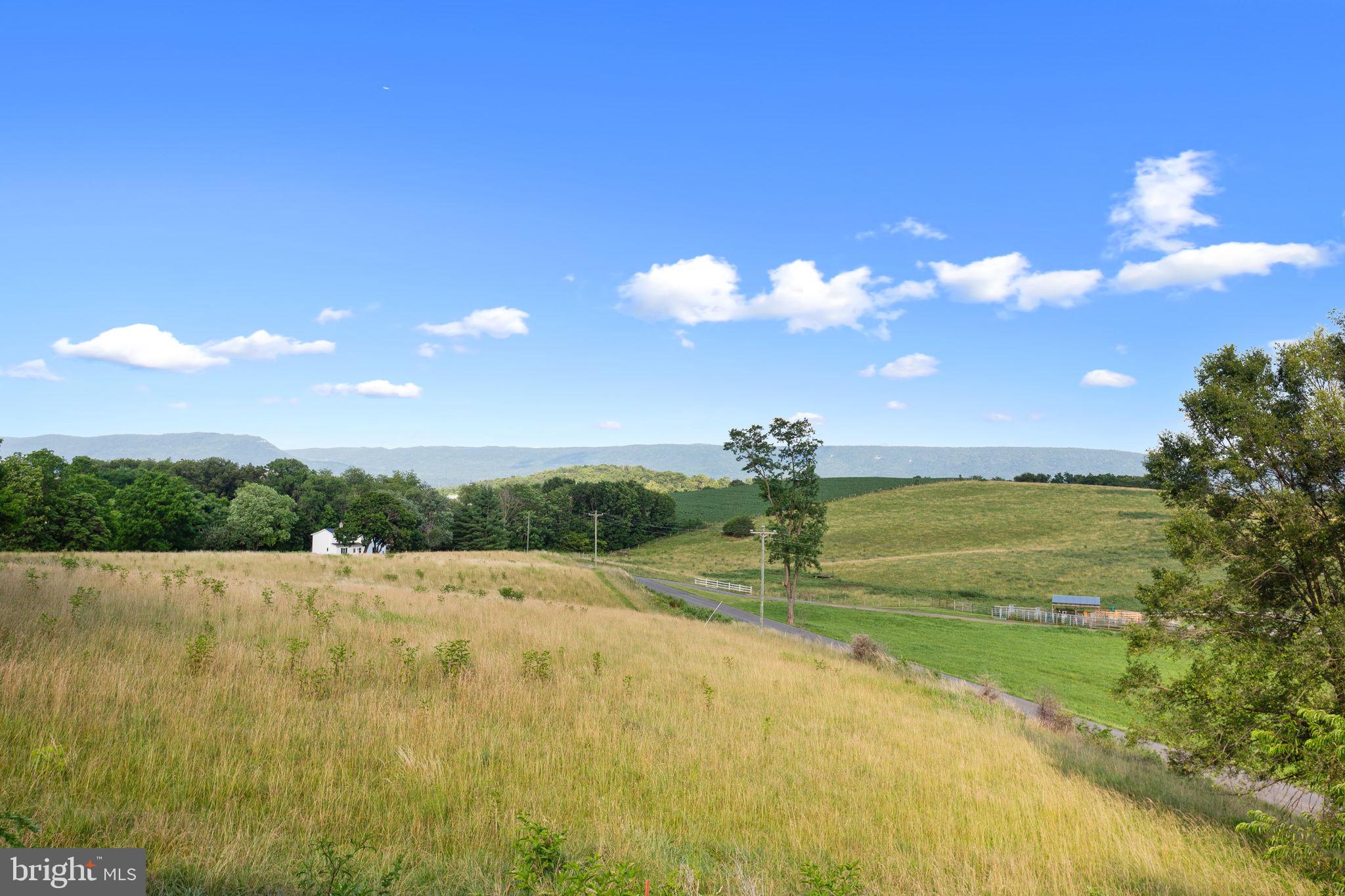 1919 Ridge Road New Market, VA 22844 - Photo 23 of 24 View