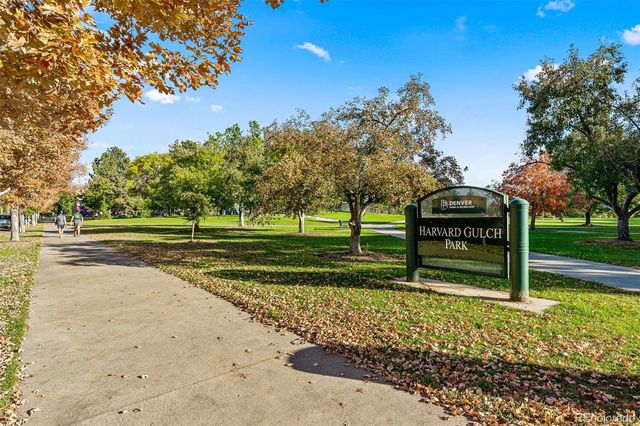 a view of a park that has a tree