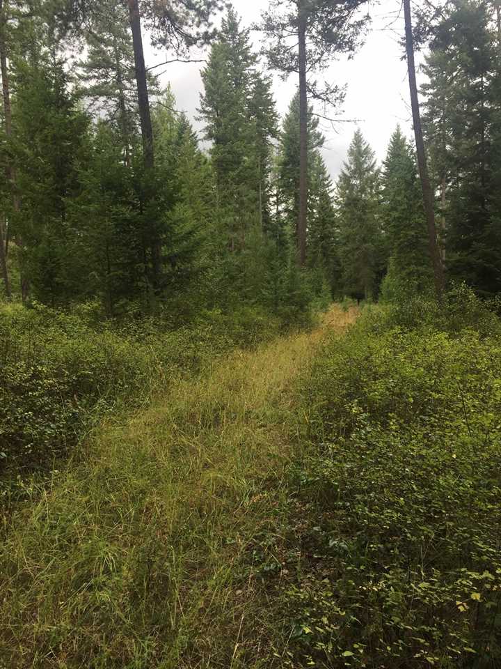 2488 Addy-Gifford Road Addy, WA 99101 - Photo 3 of 19