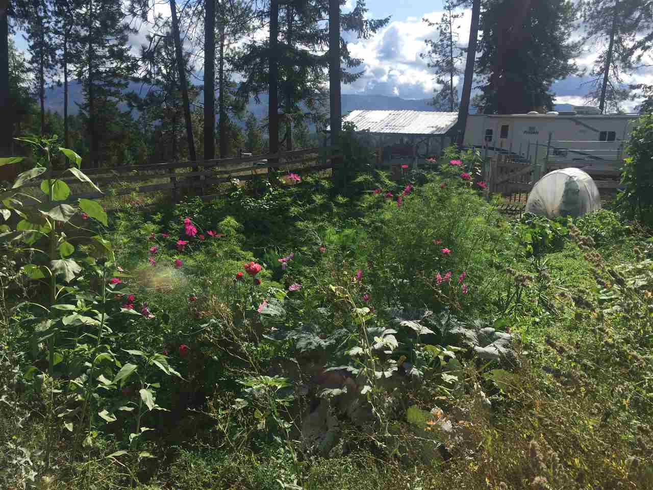 2488 Addy-Gifford Road Addy, WA 99101 - Photo 8 of 19