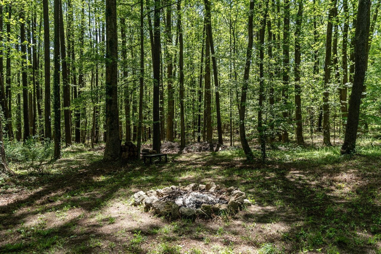 535 Dyking Road Louisburg, NC 27549 - Photo 27 of 34 Photo 27