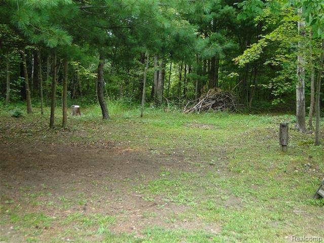 10383 East Mt Morris Road Davison, MI 48423 - Photo 16 of 16 16 Woods.JPG