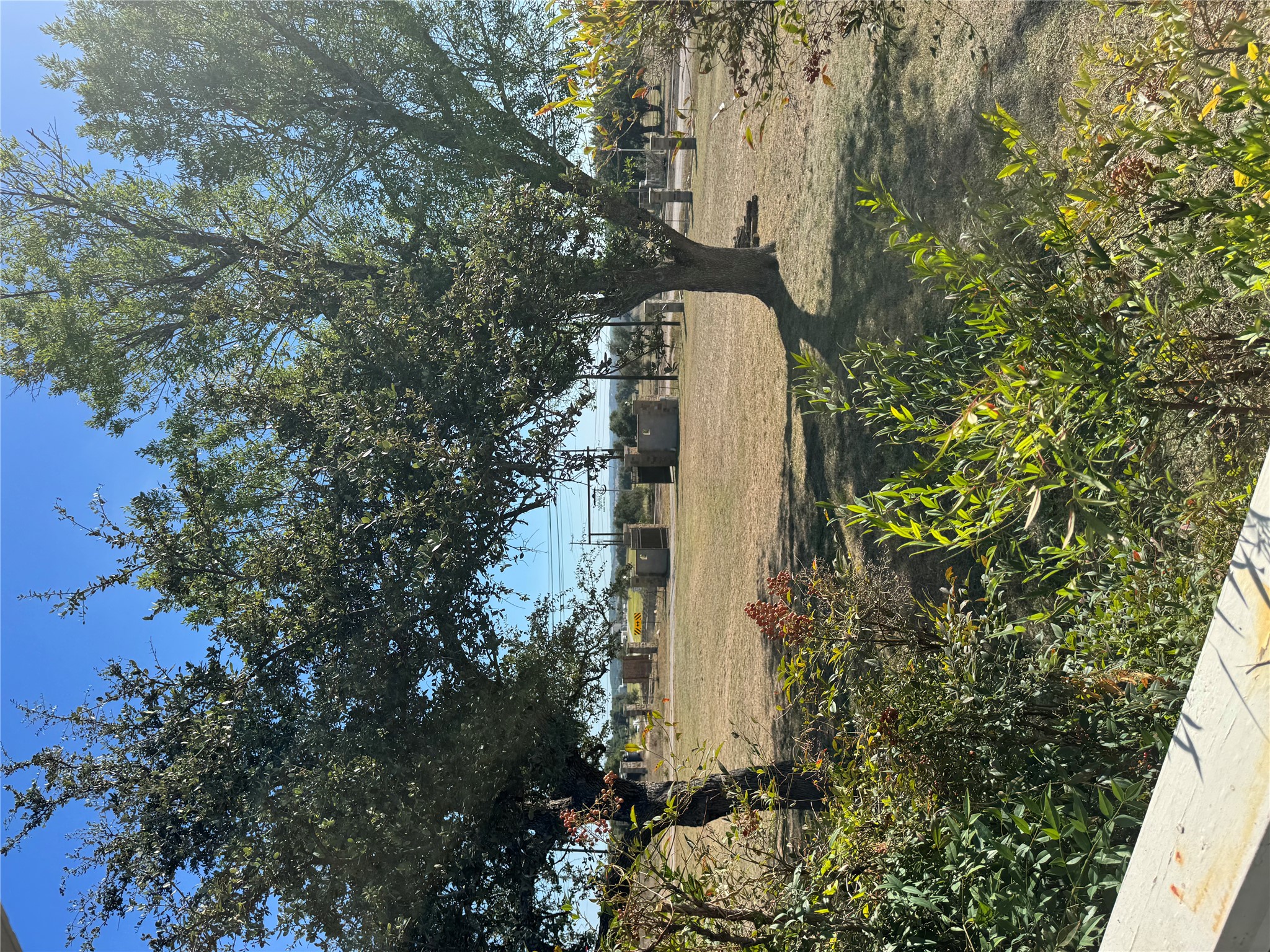 5300 Highway 290 Dripping Springs, TX 78620 - Photo 13 of 21 a view of a yard with a tree