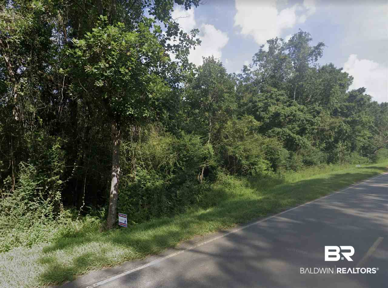 65 County Road Foley, AL 36535 - Photo 1 of 2 Gallery Image 1