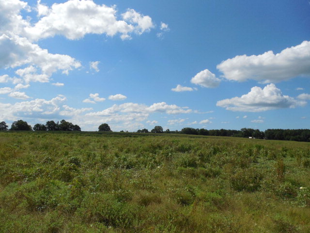 2-acresa Hardy Road Dothan, AL 36301 - Photo 1 of 1
