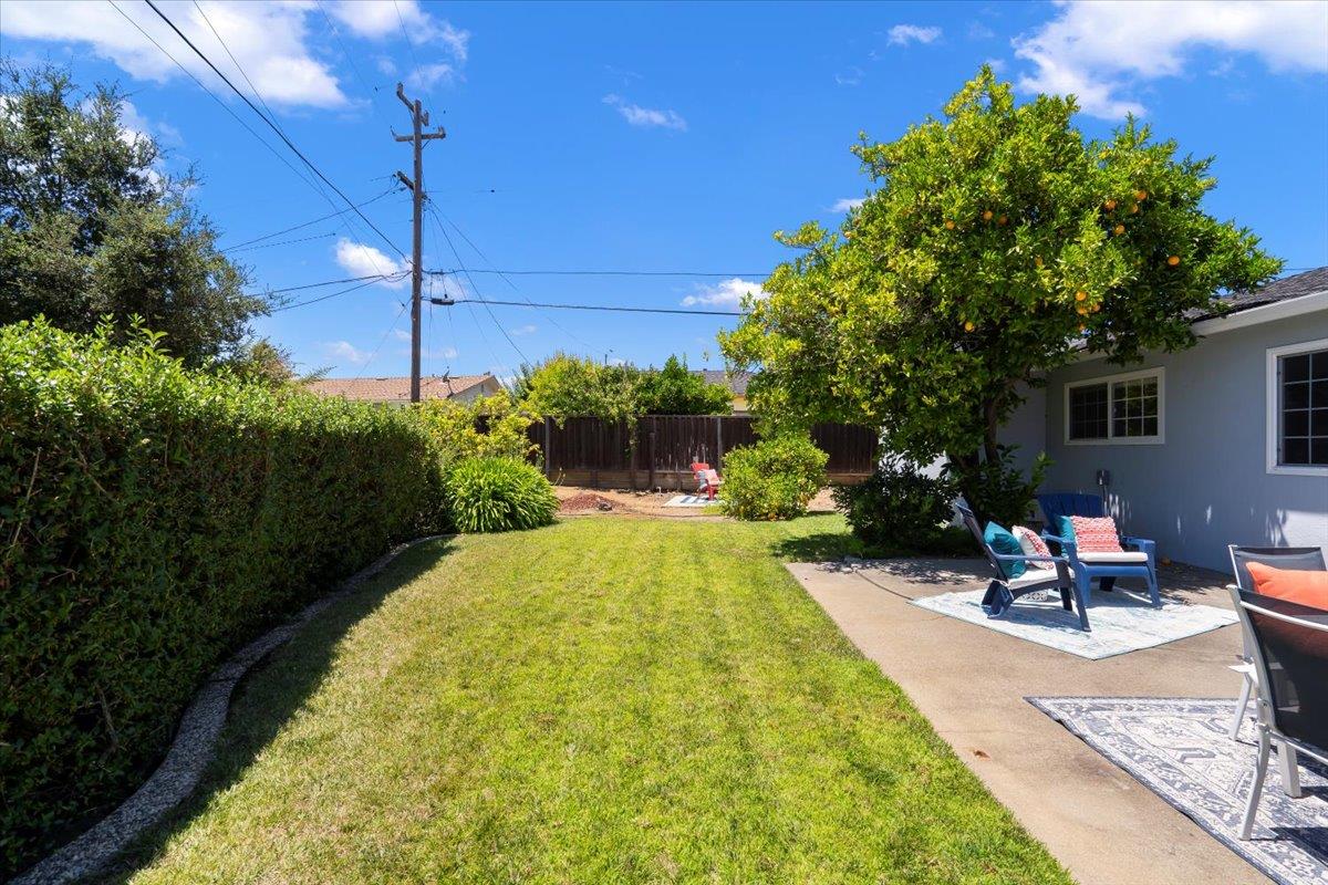 1470 Inskip Drive Campbell, CA 95008 - Photo 35 of 43 a view of a backyard with plants and a patio