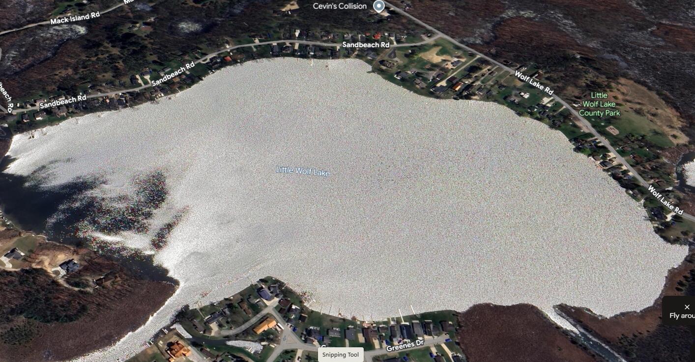 V/l V/l Parcel E Mack Island Road Grass Lake, MI 49240 - Photo 17 of 21 Mack Island Little Wolf Lake