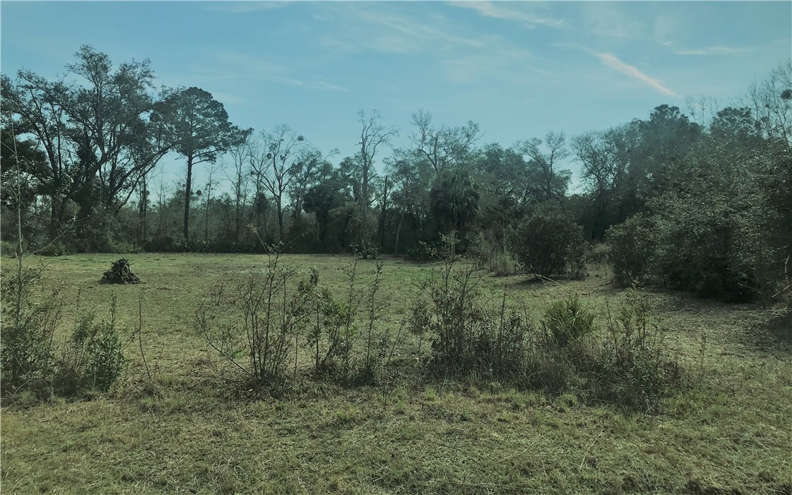 1-2 Blackrock Road Yulee, FL 32097 - Photo 2 of 7 a view of a outdoor space