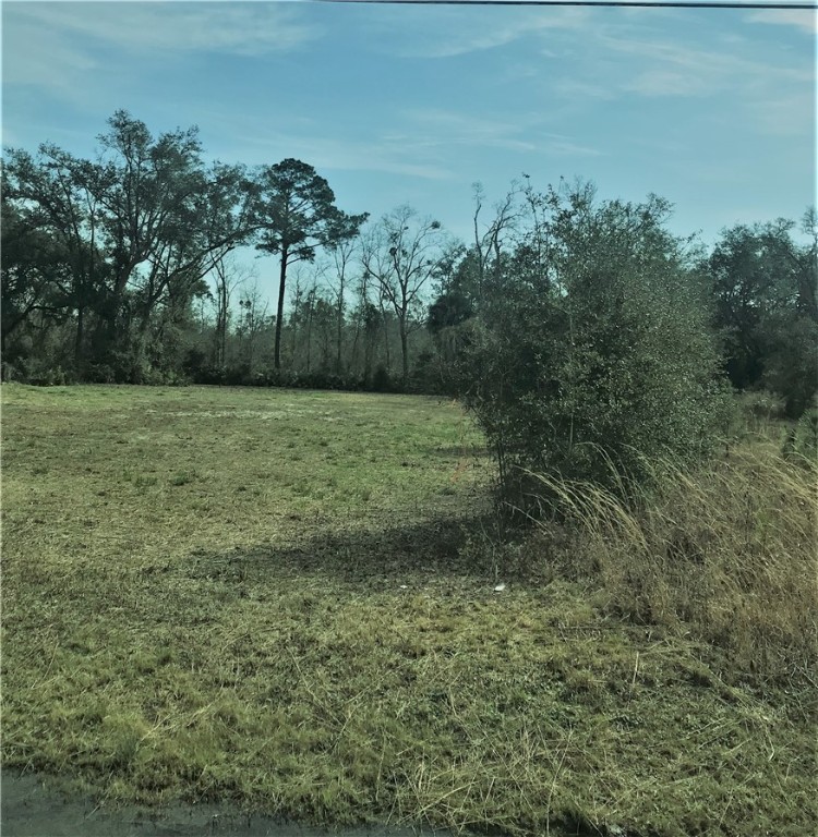 1-2 Blackrock Road Yulee, FL 32097 - Photo 3 of 7 a view of a big yard with plants and large trees