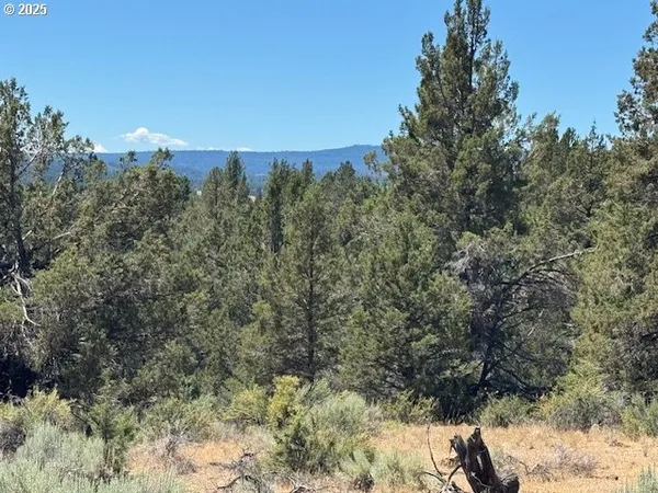 $12,000 | Skamania Street, Unit 8, Chiloquin, OR 97624