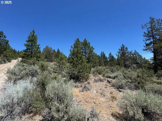 a view of a yard with a tree in the background