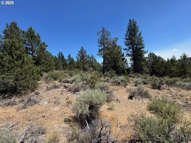 a view of a covered with trees in the background