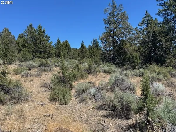 $12,000 | Skamania Street, Unit 8, Chiloquin, OR 97624