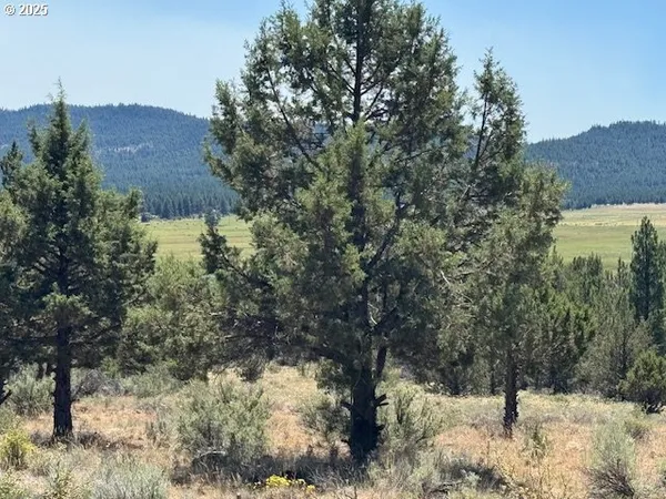 $12,000 | Skamania Street, Unit 8, Chiloquin, OR 97624