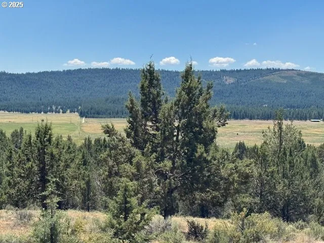 a view of a lake in middle of forest