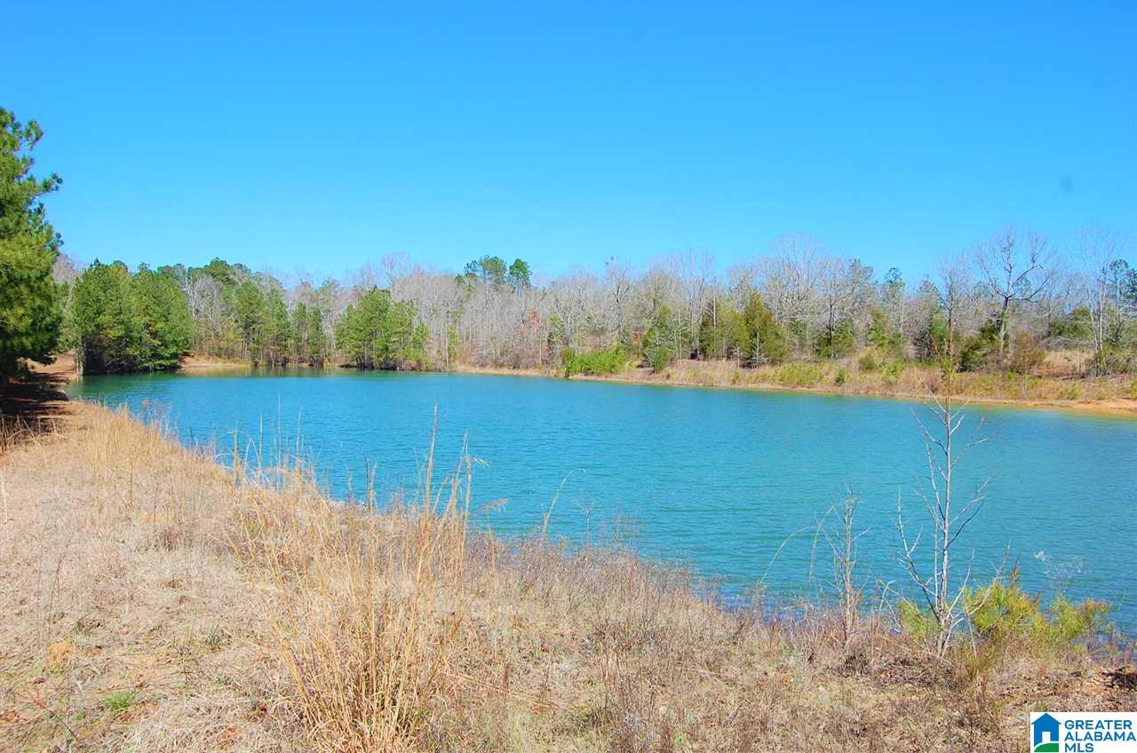 0 Melissa Robyn Road, Unit 1 Deatsville, AL 36022 - Photo 10 of 29