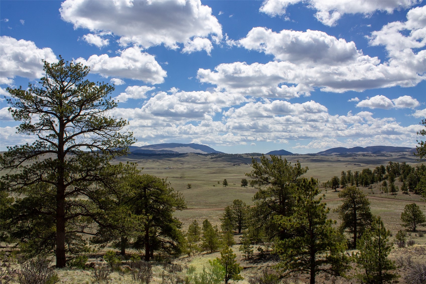 Tbd Tbd Black Beaver Rd/ Keechi Road Hartsel, CO 80449 - Photo 1 of 28 View From Back Corner of Property