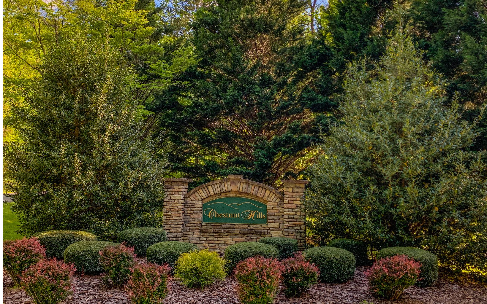 10 Chestnut Hills Lane Blue Ridge, GA 30513 - Photo 1 of 4 Main View