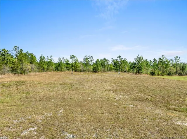 $150,000 | 0 Highway 171 Highway, Ragley, LA 70657