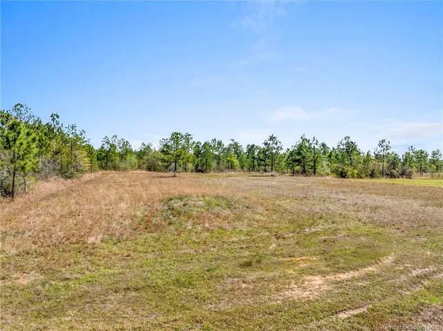 $150,000 | 0 Highway 171 Highway, Ragley, LA 70657