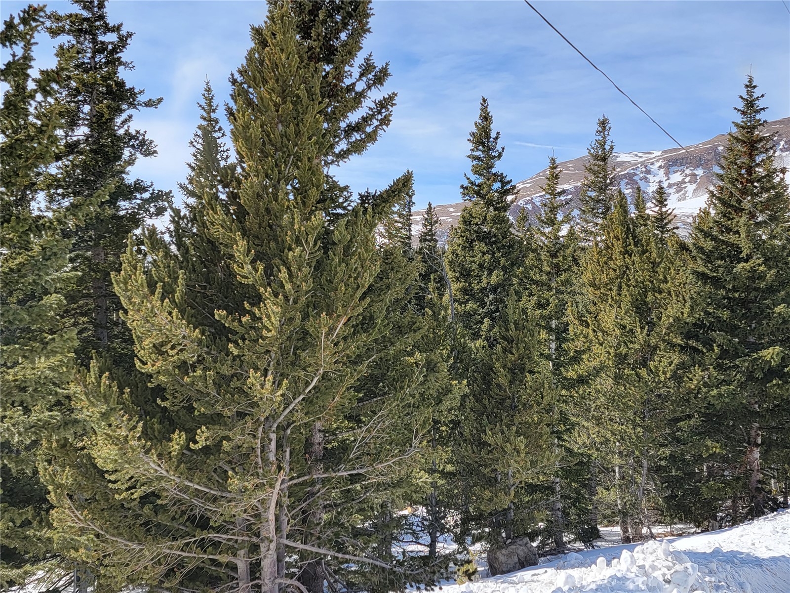 22 Ron's Road Alma, CO 80420 - Photo 15 of 27 View of snowy landscape