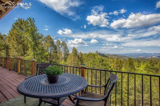 367 Homestead Road Divide, CO 80814 - Photo 7 of 40