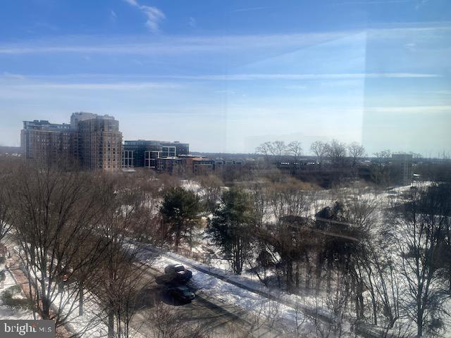 11710 Old Georgetown Road, Unit 602E Rockville, MD 20852 - Photo 20 of 22 a view of a city