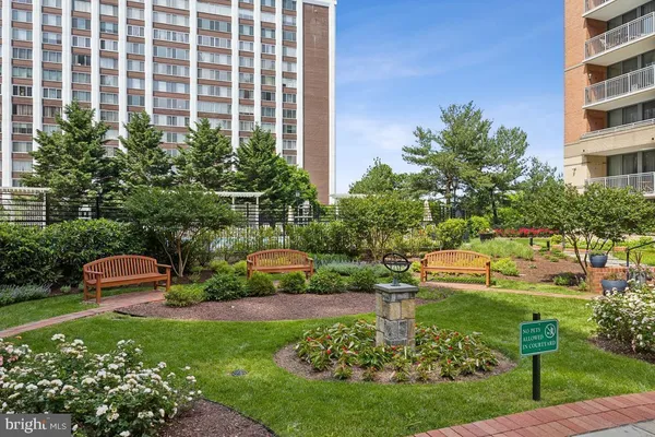 a view of a garden with plants and bench