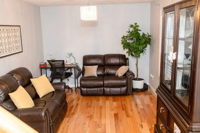 a living room with furniture and a potted plant
