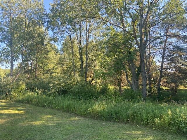 10857 West Vernon Road Lake, MI 48632 - Photo 21 of 25 1903015-20.JPG