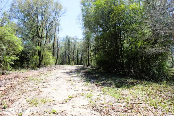 $39,900 | 1.7-acres Oakhaven Drive, Lucedale, MS 39452