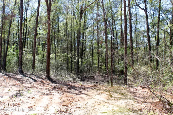 $39,900 | 1.7-acres Oakhaven Drive, Lucedale, MS 39452