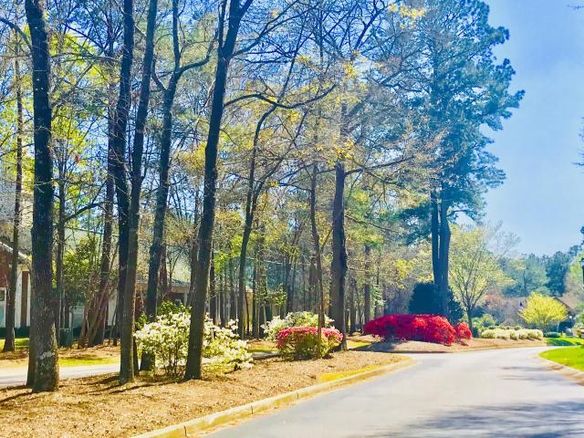7803 Montview Road North Charleston, SC 29418 - Photo 32 of 50 Beautiful Entrance Drive