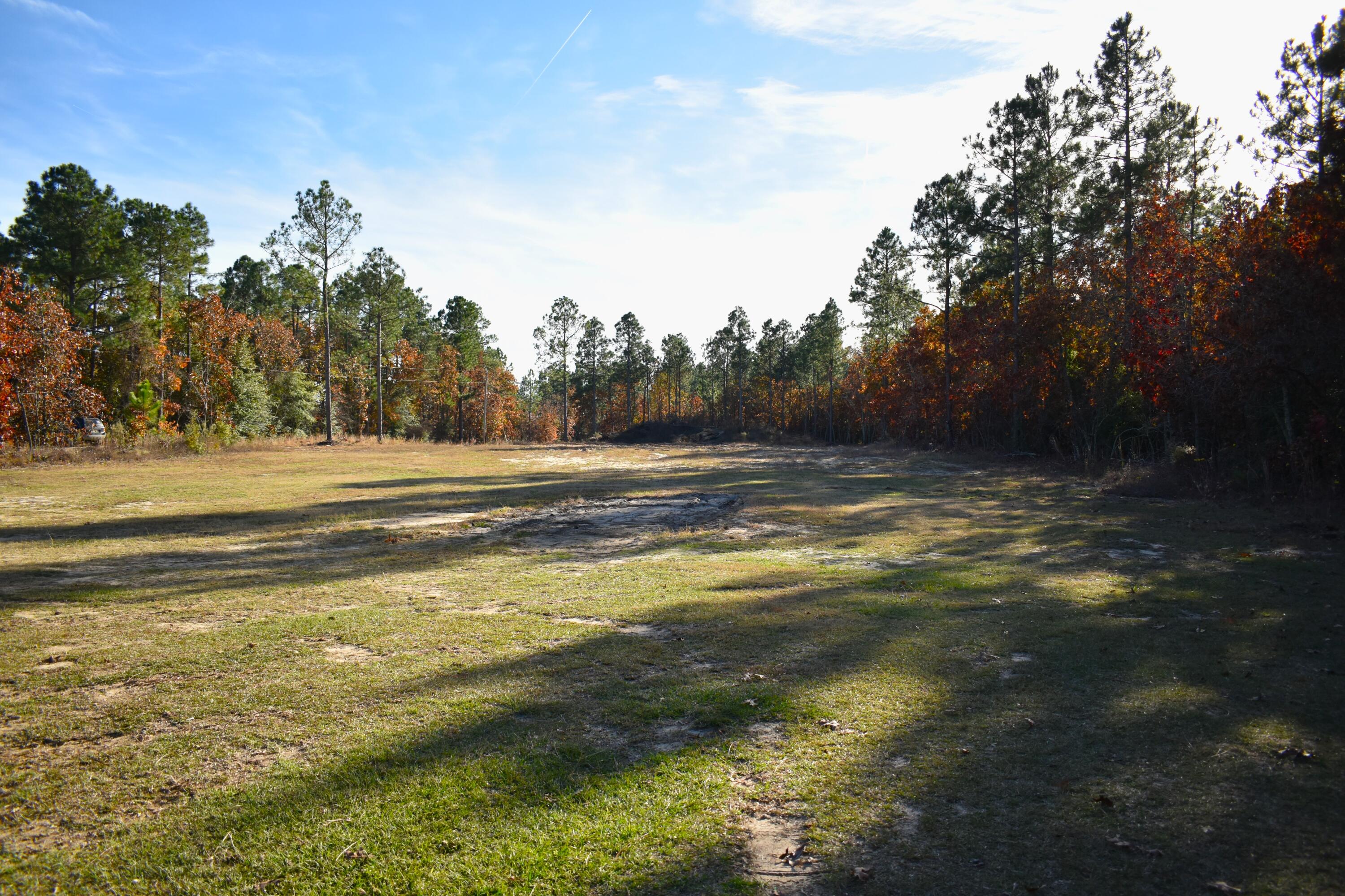 192 Pearl Bonnett Road Windsor, SC 29856 - Photo 5 of 25