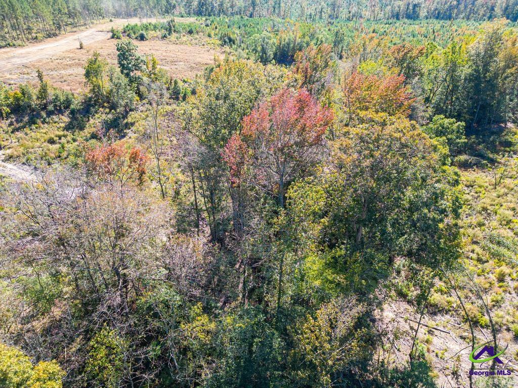 Ohp Dominy Road Toomsboro, GA 31090 - Photo 15 of 24